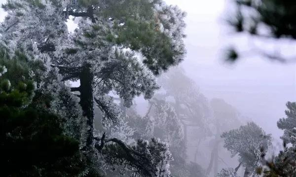 怀孕30周,总有想要大便的感觉,正常吗?-用冷知识改变你的视角