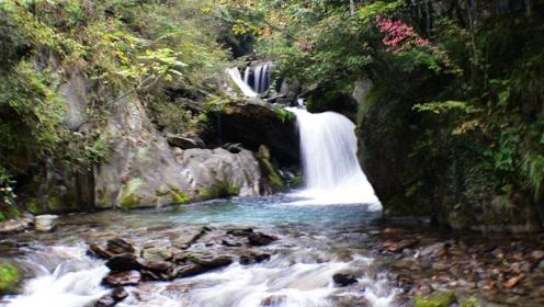 逃离阴森的岛屿